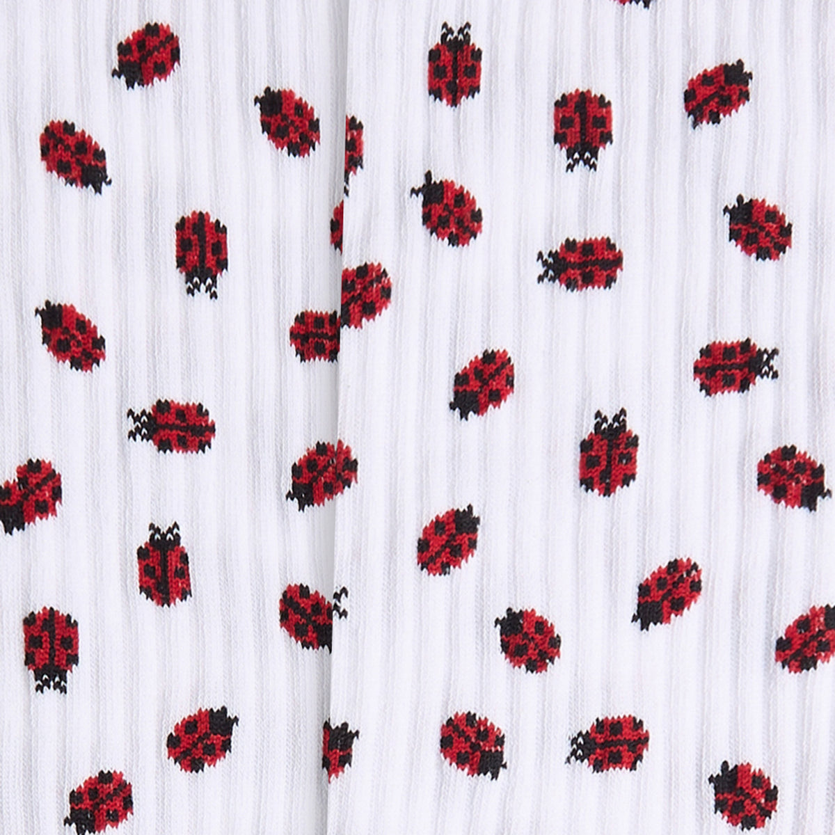 Athletic Ladybug - White