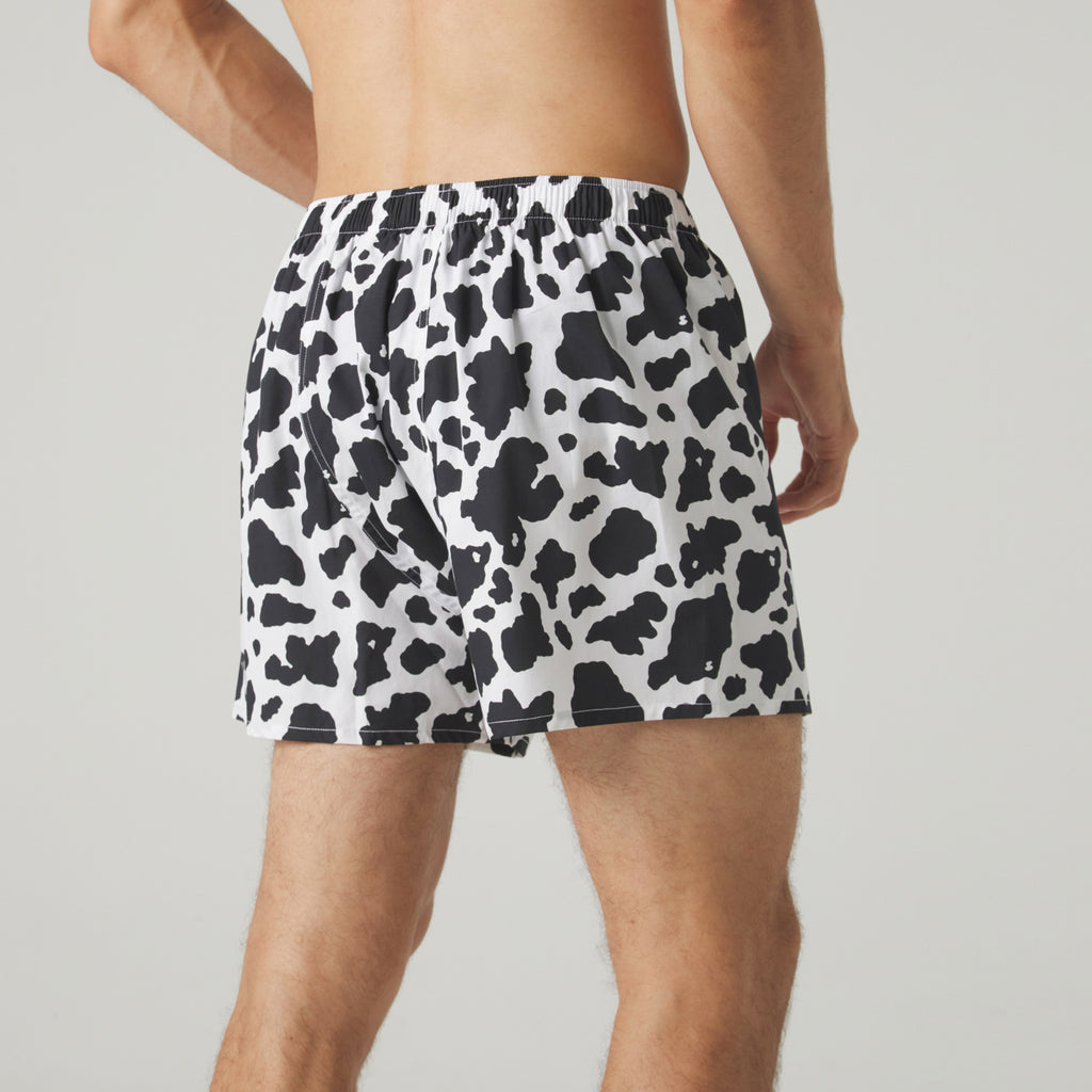 Cow Print Boxer Shorts - White