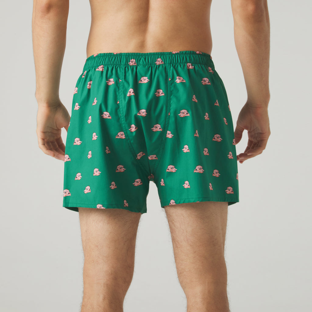 Harry Potter Dobby Boxer Shorts - Green