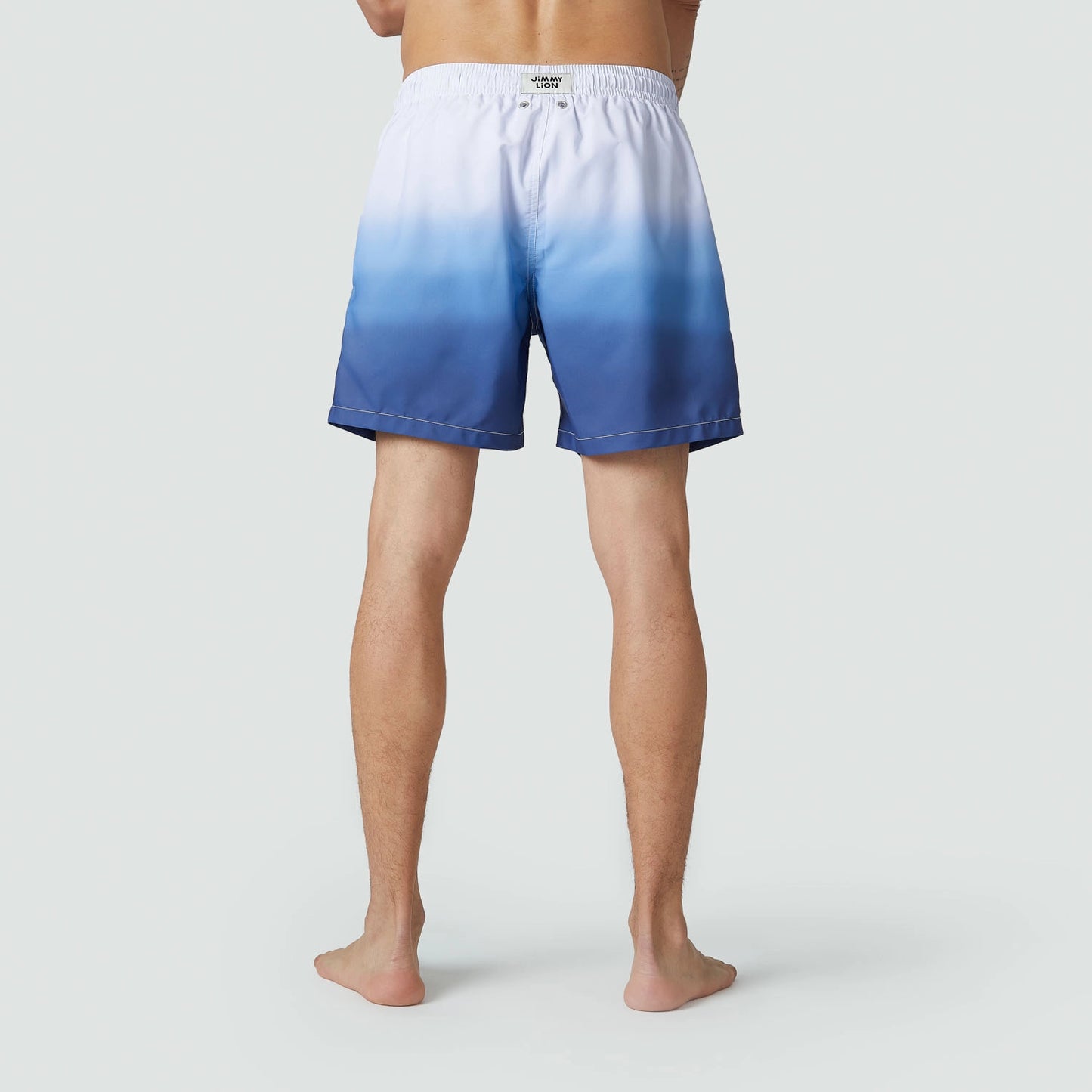 Horizon Swim Shorts - Blue