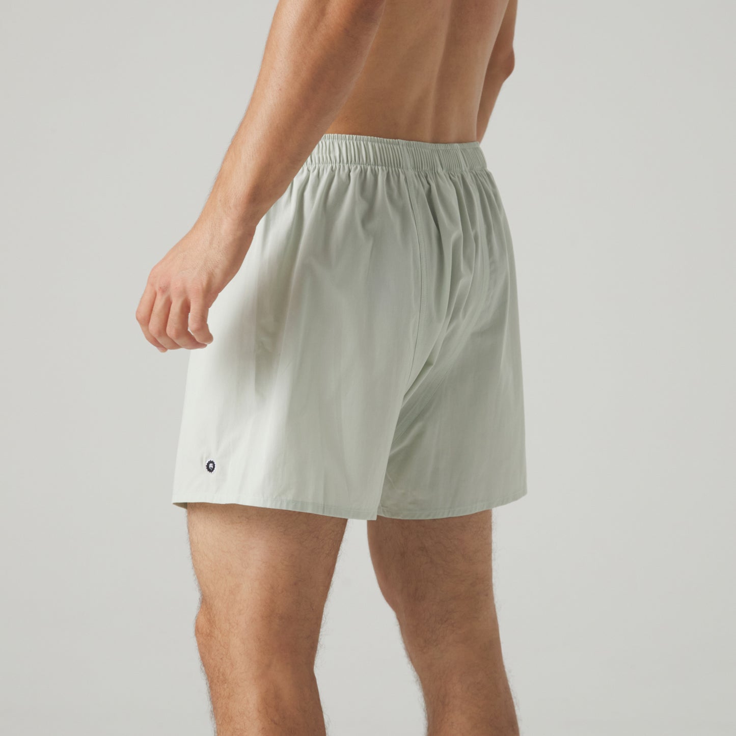 Lion Essentials Boxer Shorts - Mint