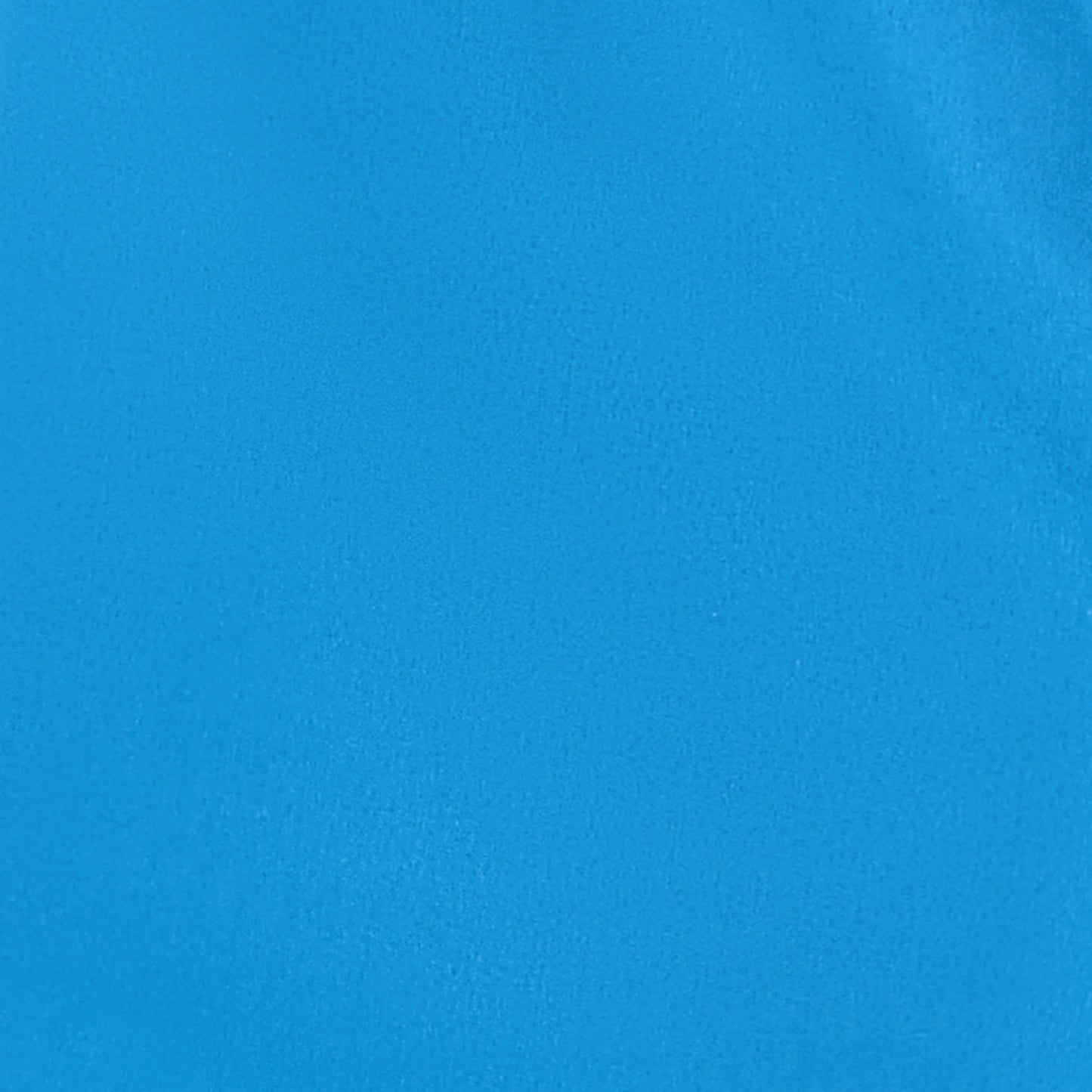 Lion Essentials Swim Shorts - Azure