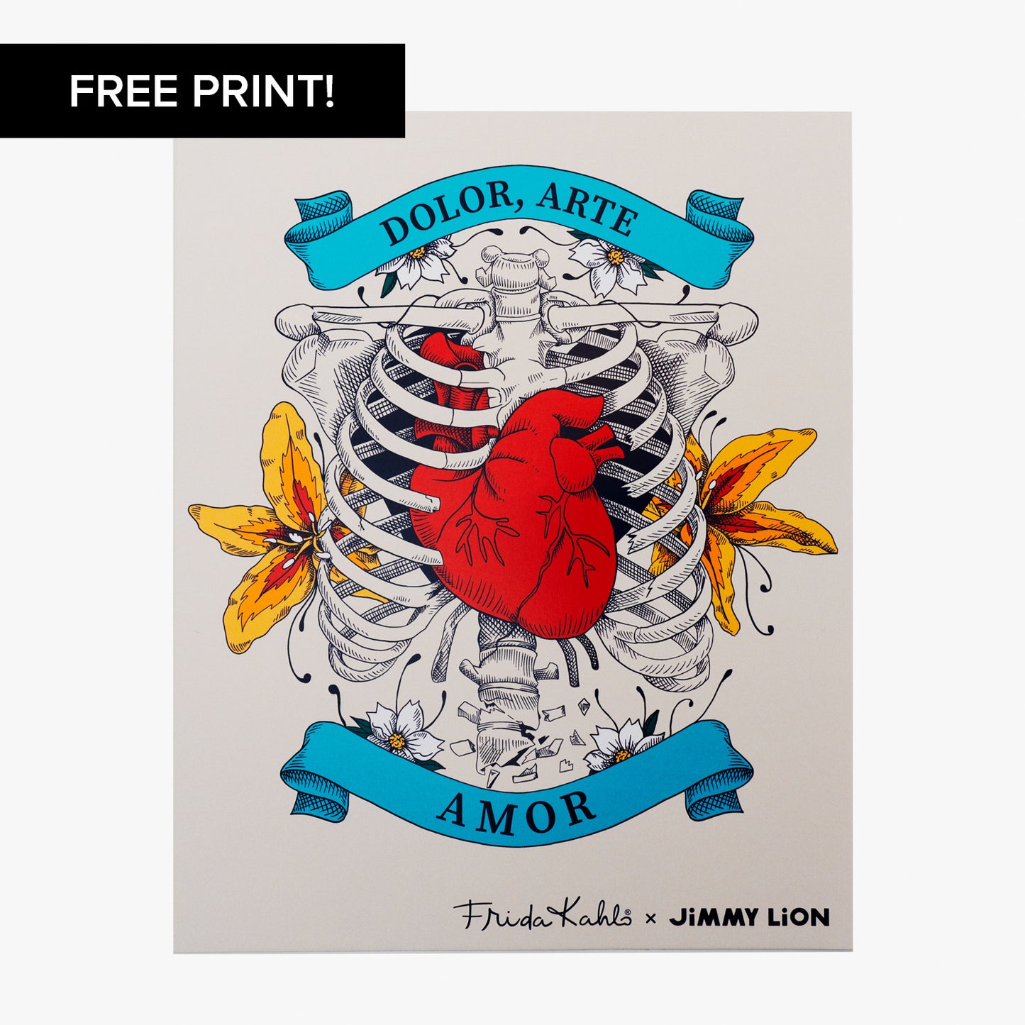 Frida Pack - Various (4)