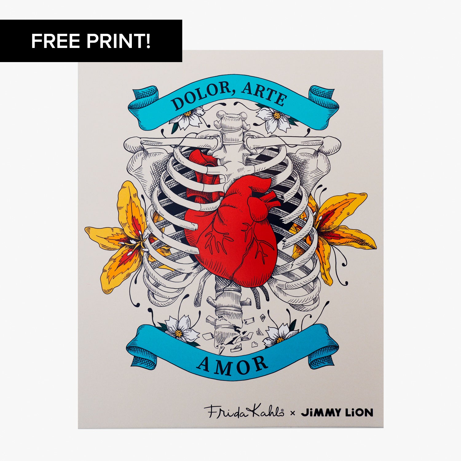 Frida Pack - Various (4)