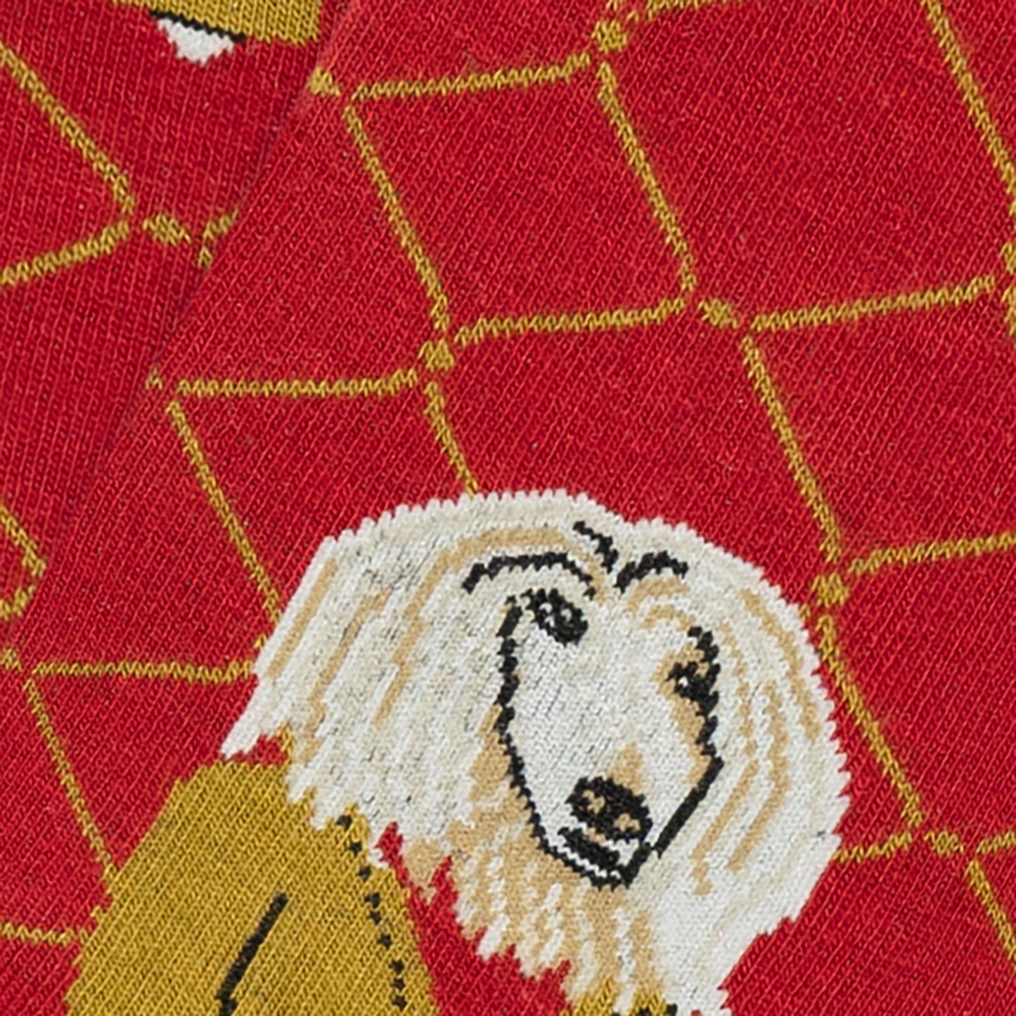 KH Intellectual - Red (3)