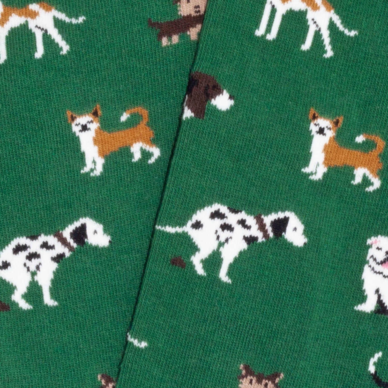 Kids Dogs - Green (3)