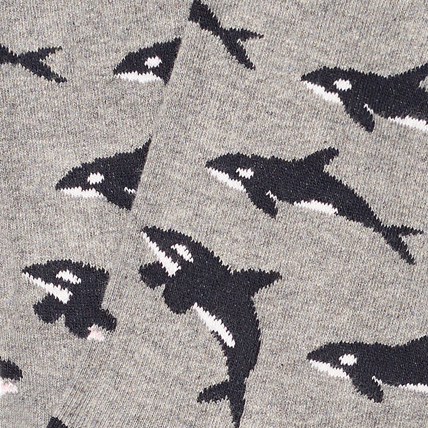 Killer Whales - Grey (3)