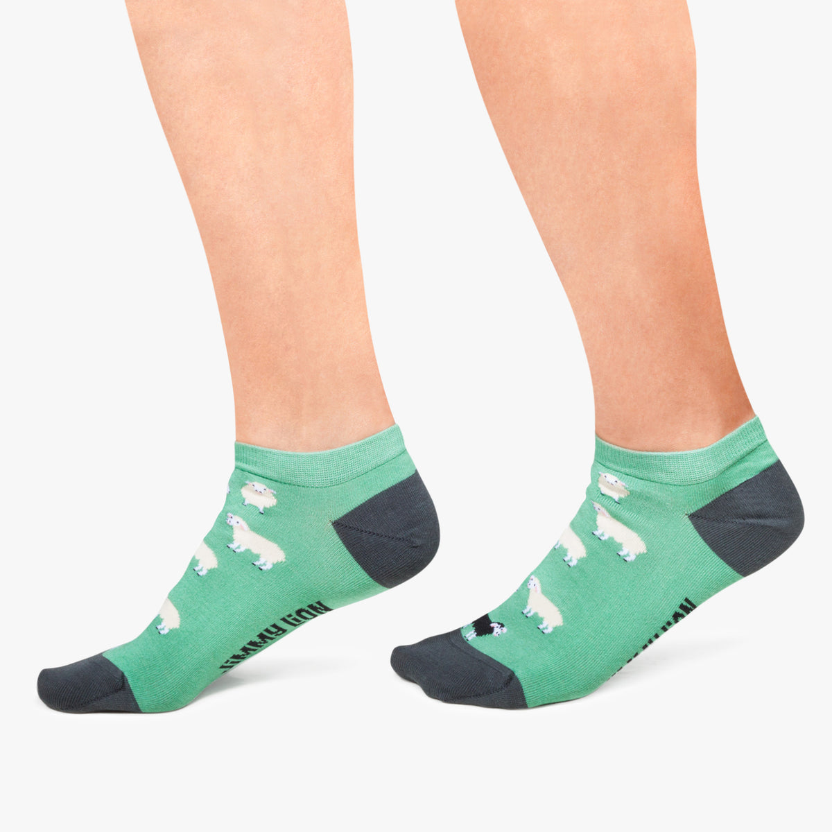 Ankle Black Sheep - Turquoise (2)