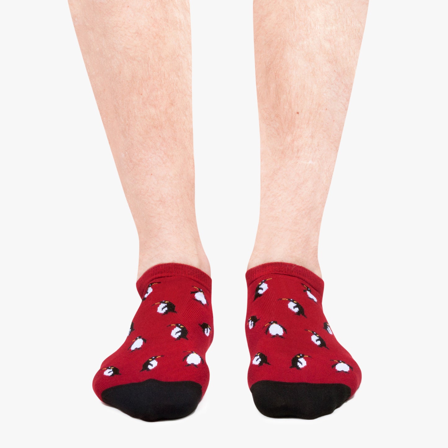 Ankle Penguins - Red (1)