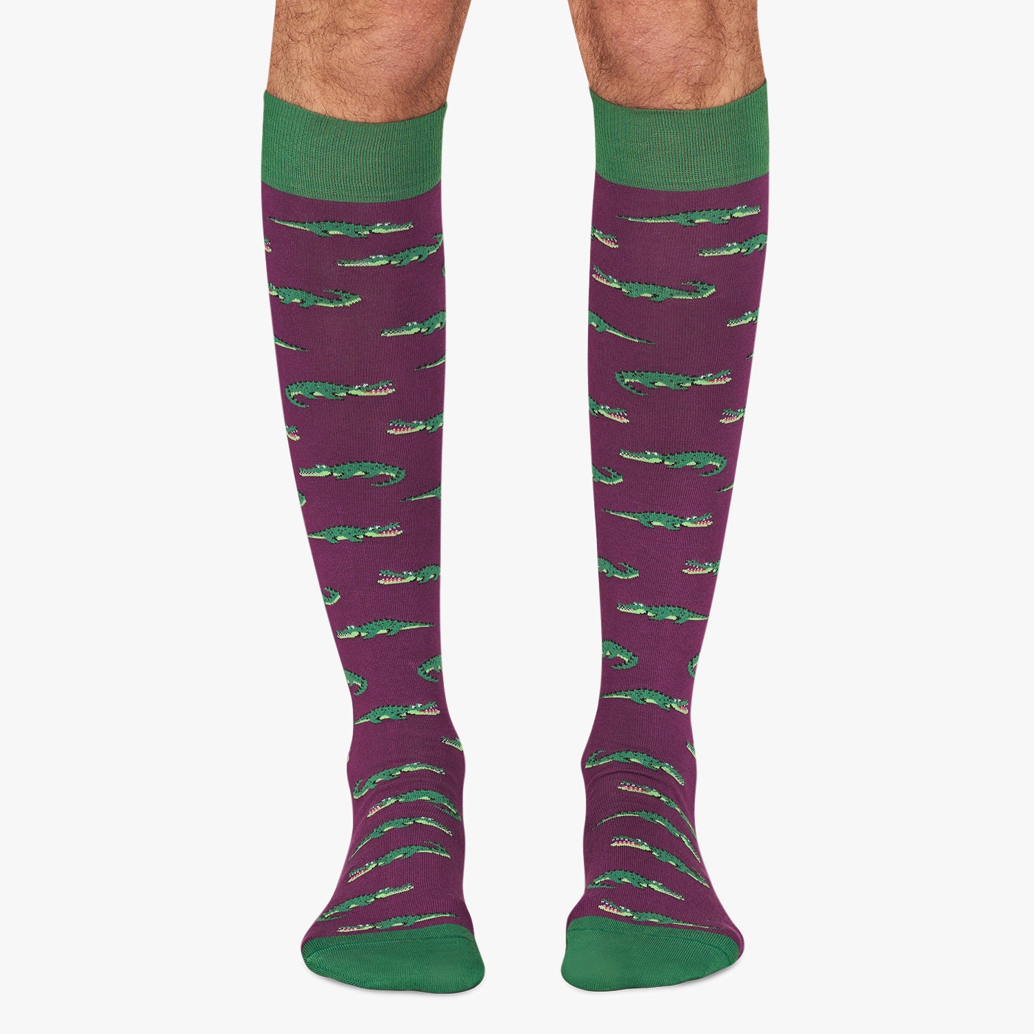 KH Crocodiles - Purple (1)