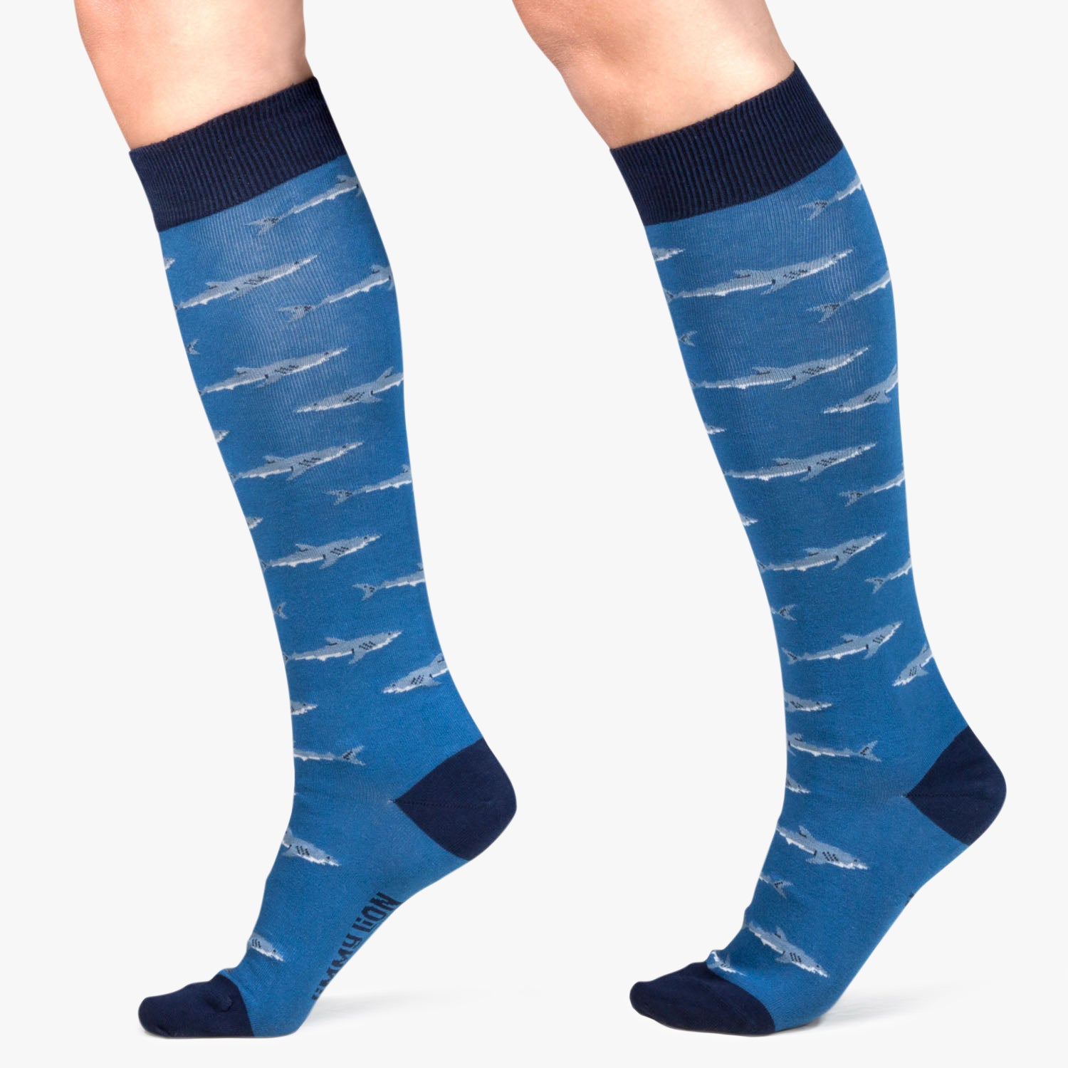 KH Sharks - Blue (2)