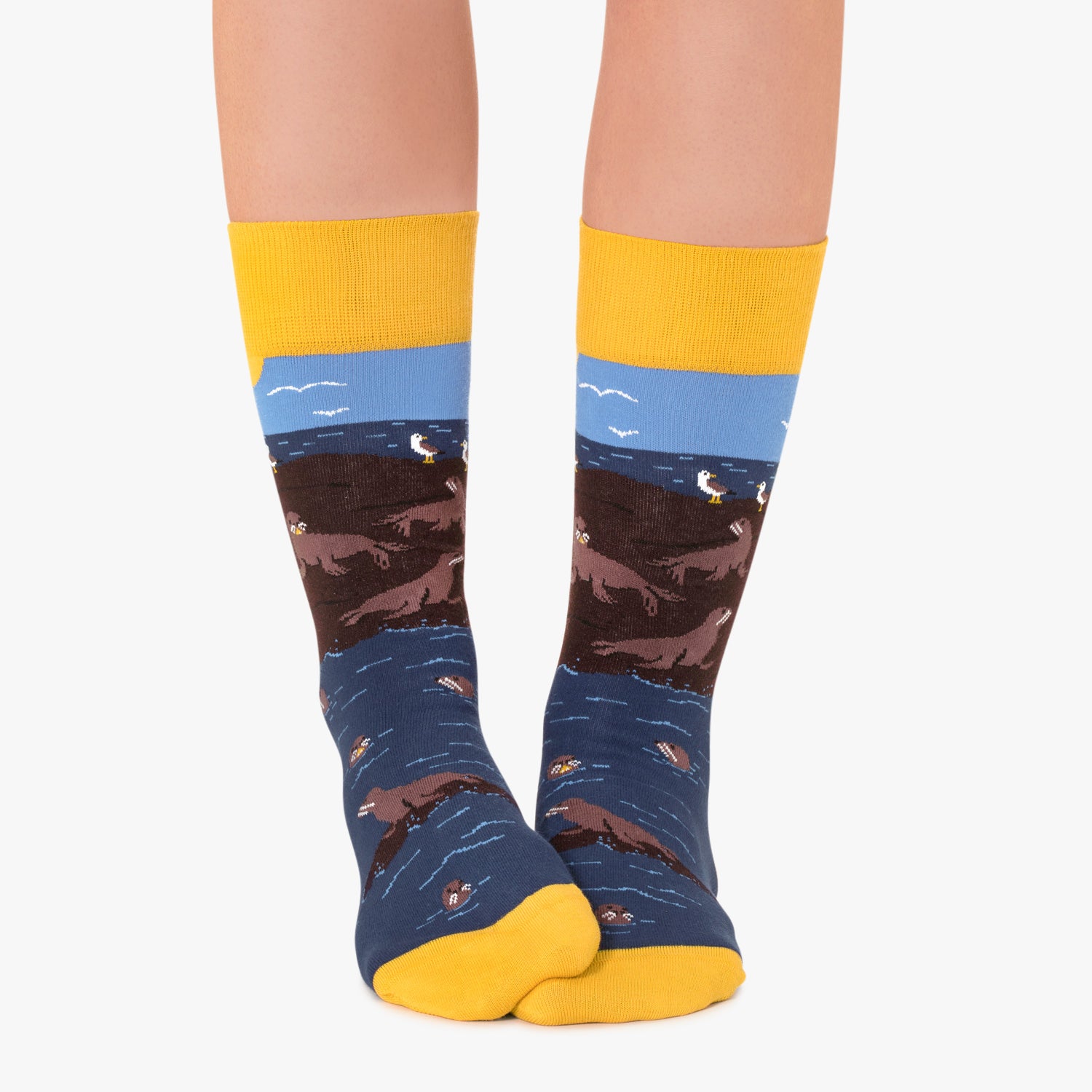 Seal Island - Dark Blue (2)
